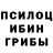 Галлюциногенные грибы GOLDEN TEACHER Snigyr