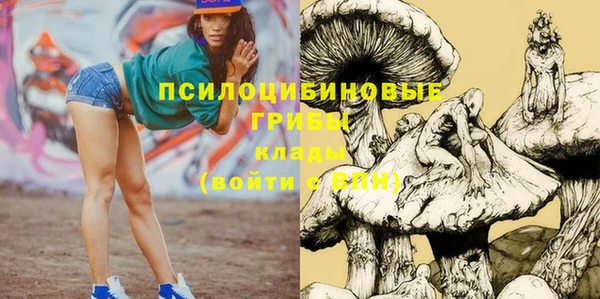 первитин Елабуга