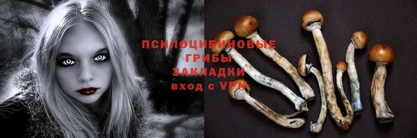 Альфа ПВП Елизово